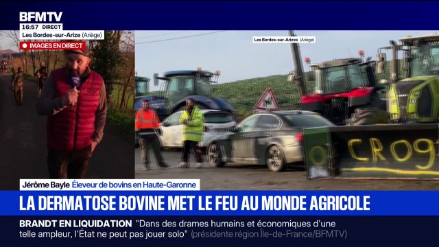 Dermatose bovine: On va tuer des milliers d'animaux , lance Jérôme Bayle, éleveur de bovins en Haute-Garonne