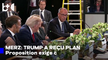 Merz dit que Trump a reçu une proposition de concessions territoriales possibles de l'Ukraine