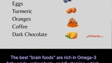brain foods