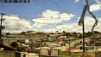 Árvore cai sobre casa e mata cachorro após ventania no Paraná