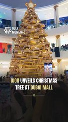 Dior Unveils Christmas Tree at Dubai Mall