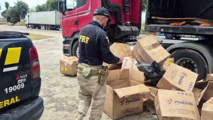 Prisão de Traficante em Blitz da Polícia Rodoviária Federal na BR-101: Descoberta Grande Quantidade de Maconha em Caminhão