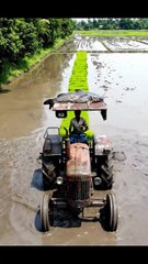 Amazing harvester vs Eelfish