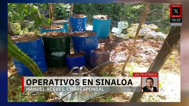Ejército frena operaciones criminales en 5 municipios y causa pérdidas millonarias a cárteles