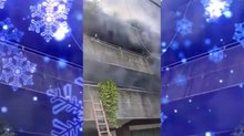 Mujer arriesga su vida por salvar a sus perros durante incendio