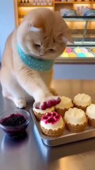 When your cat turns into a pastry chef 😂🍰 Bro dipped his paws in red jam and