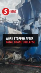 Stop-work order issued over fatal crane accident at Tanjung Bin Complex