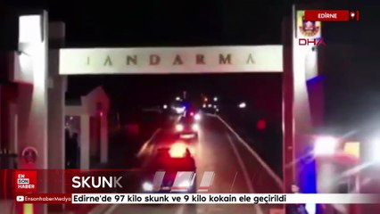 Edirne'de 97 kilo skunk ve 9 kilo kokain ele geçirildi