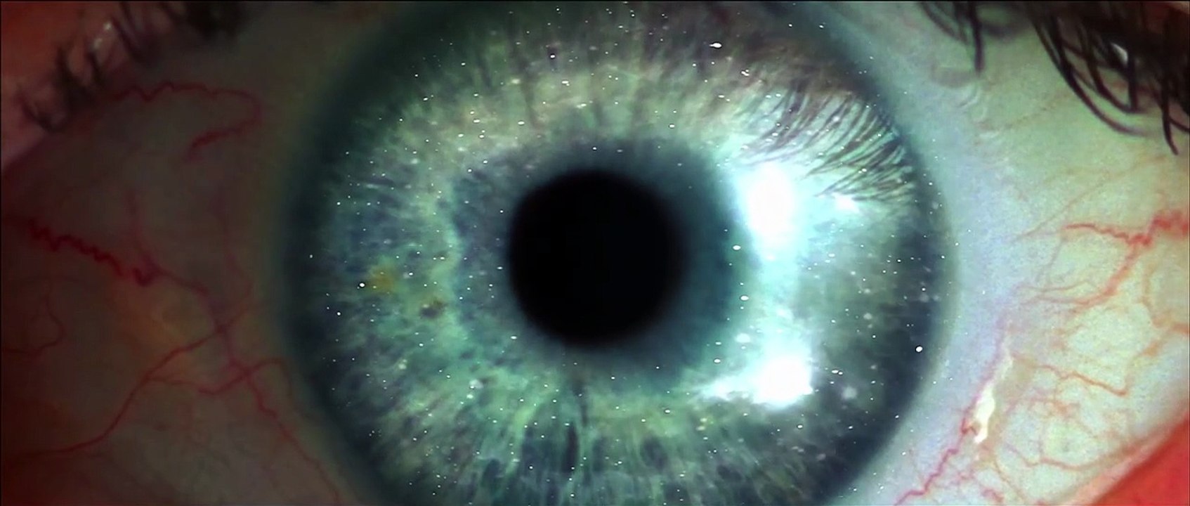 Star Trek 10: Nemesis Trailer DF