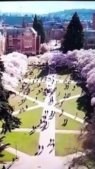 [Hot 2025🔥] Shhh, Professor Please Don't Tell Full Movie