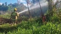 Moradores acionam Bombeiros após fogo em matagal ameaçar residências no Claudete