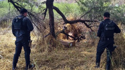 Fiscalía cambia versión: policías de Techaluta ya no son investigados por extorsión, sino por robo