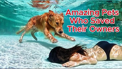 Hero Animals That Saved Human Lives