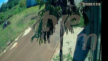 Câmera flagra homem incendiando vegetação no bairro Claudete, em Cascavel