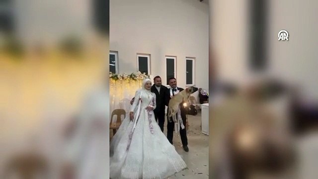 Düğünde gelin ve damada takı yerine çoban köpeği hediye edildi