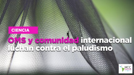 OMS y comunidad internacional luchan contra el paludismo