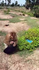 Well Best SokYaa, OG, Pao & Mom Are Famous Around The World #shorts #anime #trend #edit