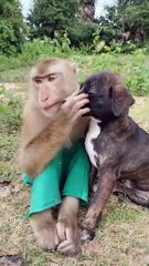 Amazing Best SokYalla, OG, Pao & Mom Are Famous  Job Best SokYaa, OG, Pao & Mom Are Famous Around The World #shorts #anime #trend #edit