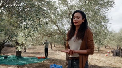 Η Γη της Ελιάς 5ος Κύκλος - Επεισόδιο 64
