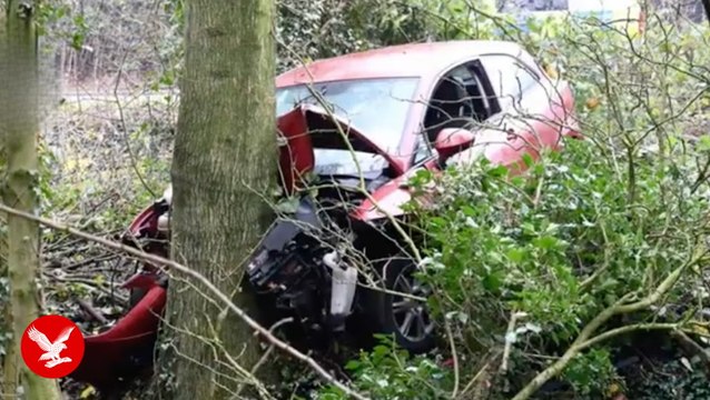 Suspected drink-driver flees after sending car airborne over a hedge and leaving injured passenger behind