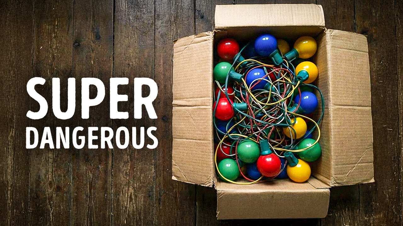 The Hidden Danger of Christmas Lights (Keep Your Pet Away)
