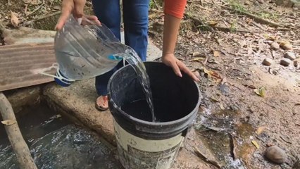 Moradores de una comunidad de Coclé piden al Gobierno construir un acueducto tras un mes sin agua
