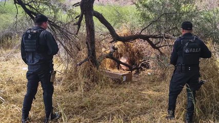 Fiscalía cambia versión: policías de Techaluta ya no son investigados por extorsión, sino por robo