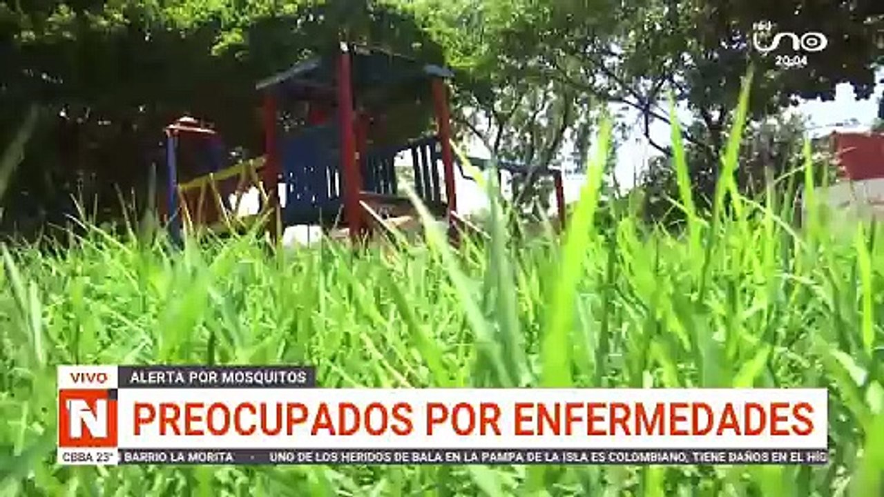 ¡CUIDADO CON EL DENGUE!