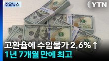 고환율에 수입물가 2.6%↑...1년 7개월 만에 최고 / YTN