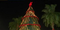 Encienden árbol de navidad en el distrito de San Miguelito
