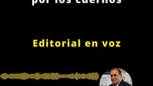 Editorial | Tomando el toro por los cuernos