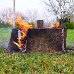 Simple and effective tree stump remove