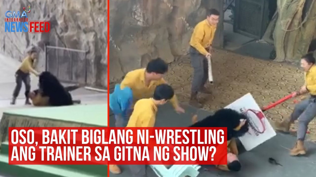 Oso, bakit biglang ni-wrestling ang trainer sa gitna ng show? | GMA Integrated Newsfeed