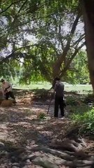 El inmortal desciende- La redención de su esposa muda (Doblado) En Espanol