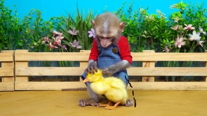 🐒Monkey Nana drives a self-made tractor to the farm and rescues a dairy cow that fell into a pit