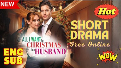 All I Want for Christmas is a Husband