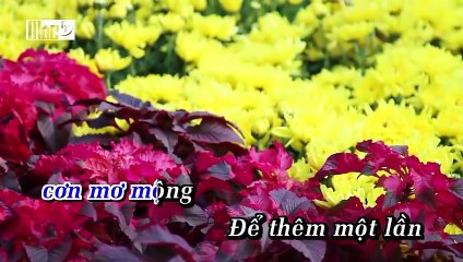 [ Karaoke Không Bè ] Tựa Vào Vai Anh - Khánh Phương