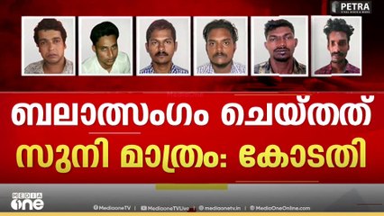 'മറ്റു പ്രതികൾ സഹായിച്ചില്ലായിരുന്നേൽ പൾസർ സുനിക്ക് കുറ്റം ചെയ്യാൻ കയ്യില്ലായിരുന്നു'