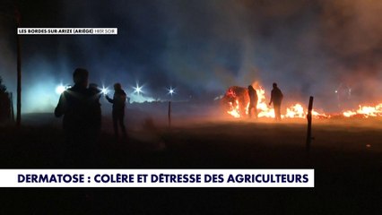 Dermatose : colère et détresse des agriculteurs