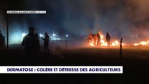 Démunis face à la dermatose, la colère et détresse des agriculteurs