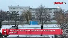 Erzurum'da kar yağışı etkili oluyor