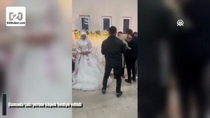 Damada takı yerine köpek hediye edildi