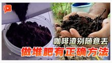 自制堆肥不败定律 1:3法则要遵守