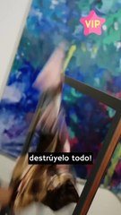 Un amor de una noche