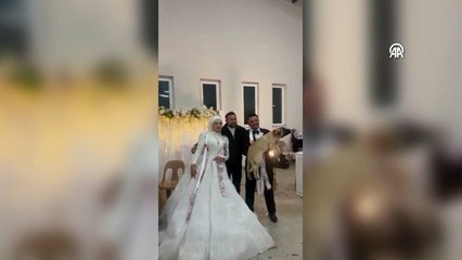 Denizli'de düğünde gelin ve damada takı yerine çoban köpeği hediye edildi