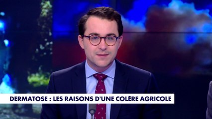 L'édito de Paul Sugy : «Dermatose : les raisons d'une colère agricole»