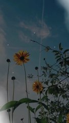 “Stop Waiting for Motivation — Do It NOW!”