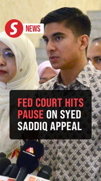 Federal Court hits pause on Syed Saddiq appeal, tells both sides to rethink