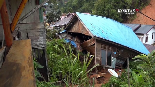 Gajah Bantu Anjing yang Terjebak Banjir
