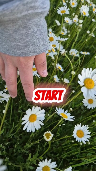 “Your Healing Starts With One Brave Moment”